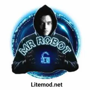 MR Robot FF Injector