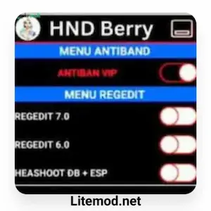 HND Berry Injector